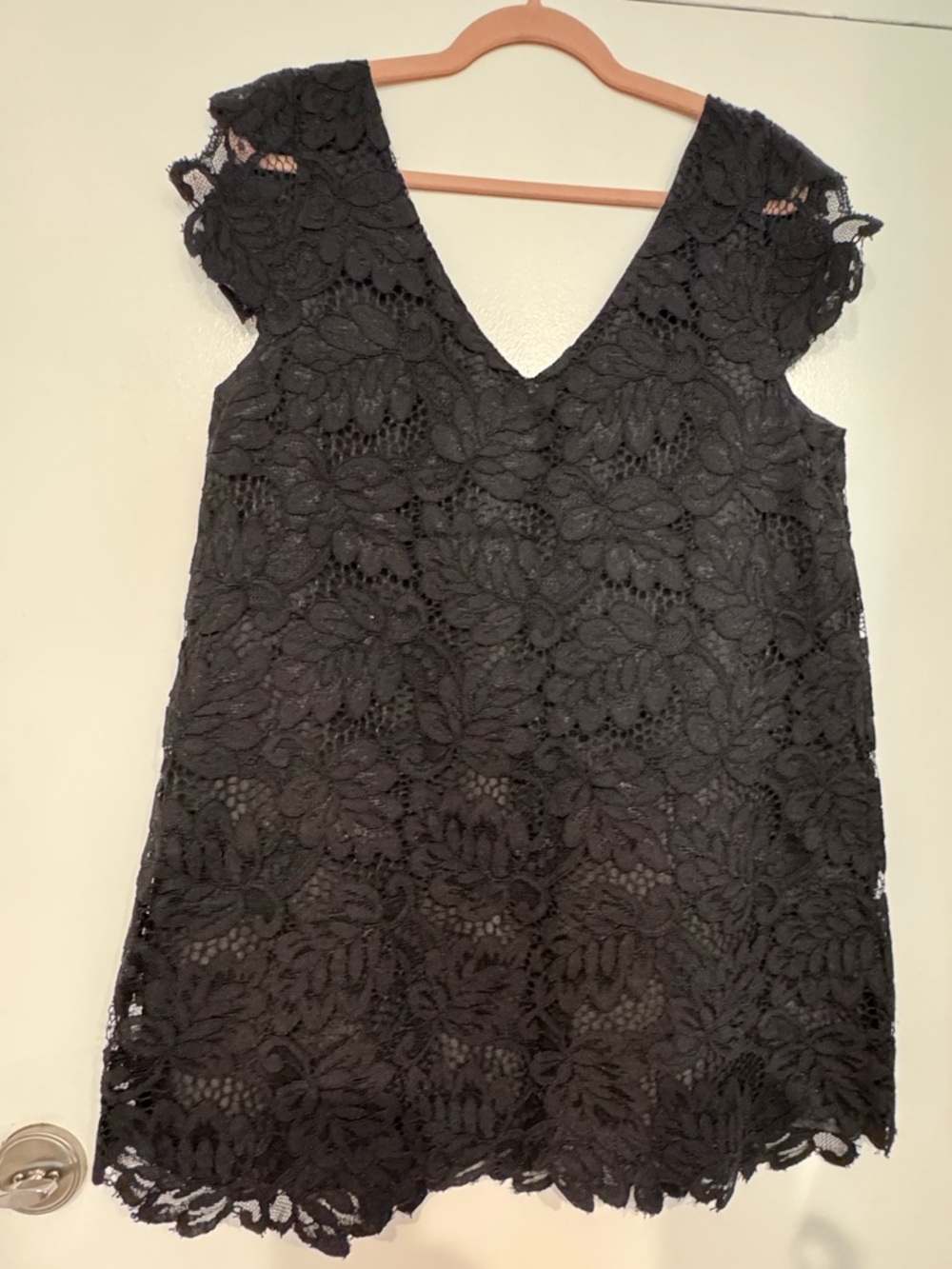 BB Dakota Black Floral Lace Mini Dress